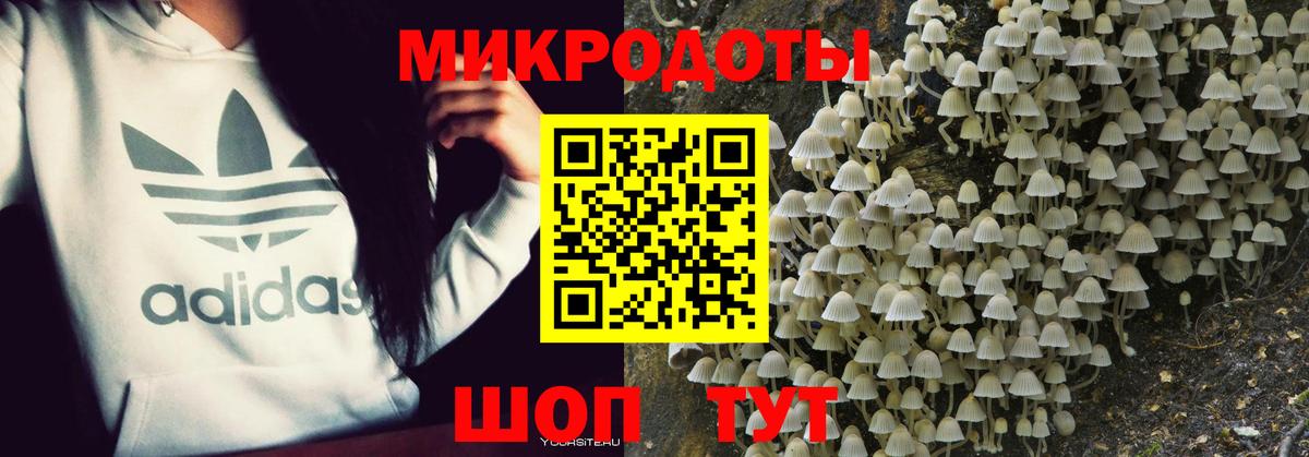 Белгород  Галлюциногенные грибы мухоморы  Вход с VPN  Псилоцибиновые грибы прущие грибы 