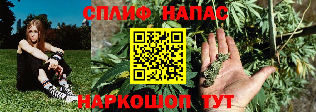 Бошки Шишки сатива Белгород